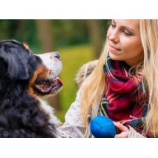 training canine diploma behaviour course euro animal care