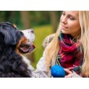 €29 Canine Behaviour Training Diploma Course