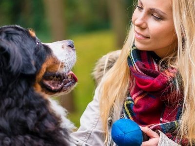 €29 Canine Behaviour Training Diploma Course