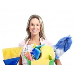 €29 Cleaning Business Diploma Course