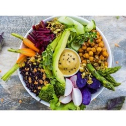 $/€/£29 Vegetarian and Vegan Nutritionist Diploma Course