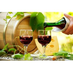 £/€/$8 Wine Appreciation Course W Certificate