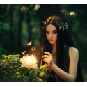 €29 Fairies and Fairy Magic Diploma Course Online