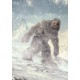 €29 Cryptozoology Diploma Course Online