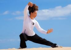 €29 Tai Chi Diploma Course Online