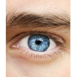 €29 Eye Movement Desensitisation and Reprocessing Therapy Diploma Course Online