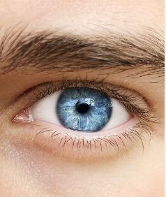 €29 Eye Movement Desensitisation and Reprocessing Therapy Diploma Course Online