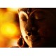 €29 Buddhism Diploma Course Online