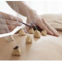€29 Introduction to Moxibustion Diploma Course Online