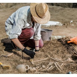 €29 Archaeology Diploma Course Online