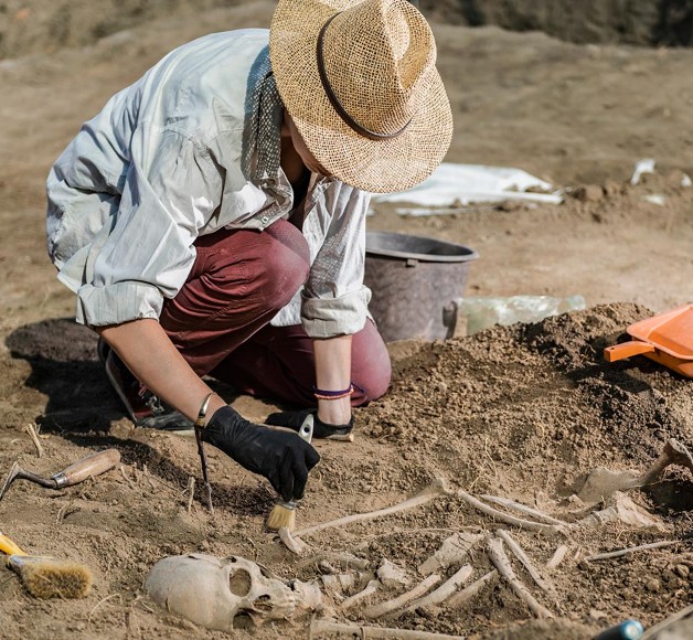 €29 Archaeology Diploma Course Online