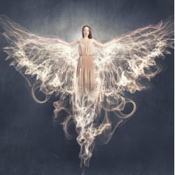 €29 Earth Angels Diploma Course Online